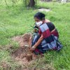 Tree Plantation at GA Bungalow